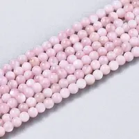 Natural Freshwater Shell Beads Strands