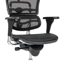 ANTARES Ergonomická kancelářská židle Ergohuman CLASSIC