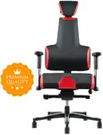 THERAPIA Ergonomická zdravotní herní židle E+Gamer