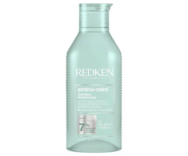 Čistící šampon pro citlivou pokožku a rychle se mastící vlasy Redken Amino Mint - 300 ml + dárek zdarma
