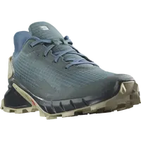 Salomon Alphacross 4 EU 46 ⅔, Stargazer/Carbon/Moss Gray Pánské boty