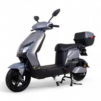 Elektrický skútr W-TEC Raike 10" šedo-černá