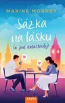 Sázka na lásku (a jiné katastrofy) - Maxine Morrey - e-kniha