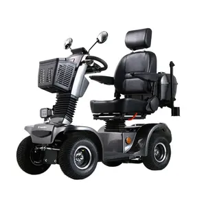 Elektrický čtyřkolový vozík inSPORTline Thodor šedá