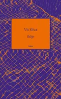 Bóje (Defekt) - Vít Slíva