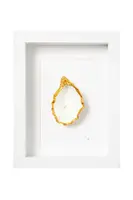Nástěnná dekorace v rámu Maria el Mar Single Oyster 22 x 17 cm