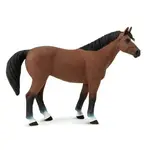 Safari® Quarter horse valach kůň