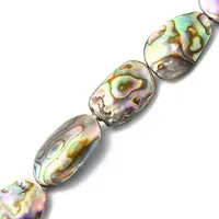 Natural Paua Shell Beads Strands