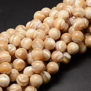 Natural Sea Shell Beads Strands