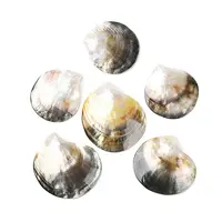 Natural Black Lip Shell