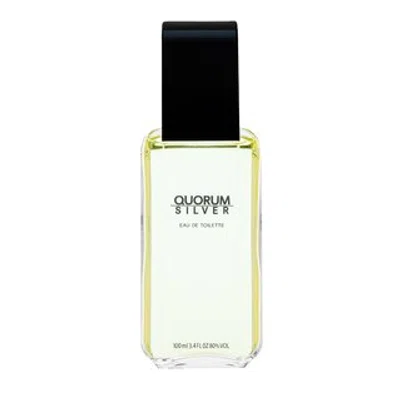Antonio Puig Quorum Silver toaletní voda pro muže 100 ml