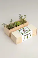 Sada na pěstování rostlin RESETEA Mini garden Mediterranean 9,8 x 8,8 x 8,8 cm