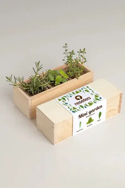 Sada na pěstování rostlin RESETEA Mini garden Mediterranean 9,8 x 8,8 x 8,8 cm více barev
