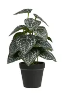 Umelá rastlina v kvetináči House Nordic 33 cm