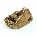 Explorer dog Žvýkací kořen vřesu pro psy M