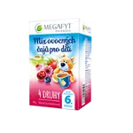 Megafyt MIX ovocných čajů pro děti 4 druhy 20x2 g