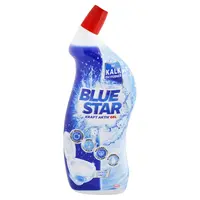 Blue Star WC čistič Kraft Aktiv Ocean Fresh na špinu a vodný kameň 700 ml