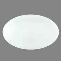 Stropní svítidlo 41348-30SH SMART LIGHT 30W 3000-6000K PL1