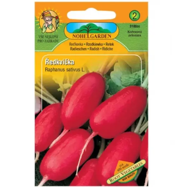 Reďkovka valcovitá červená