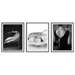 Súprava obrazov 047db3x30x40l15.18.002