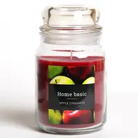 Vonná sviečka Apple Cinnamon 9,5x16 cm