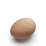 Dekorace vajíčko 2ks, barva kávová - COOEE