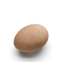 Dekorace vajíčko 2ks, barva kávová - COOEE