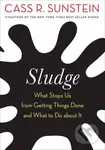 Sludge (What Stops Us from Getting Things Done and What to Do about It) - kniha z kategorie Byznys a management