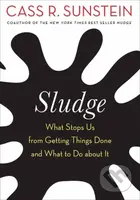 Sludge (What Stops Us from Getting Things Done and What to Do about It) - kniha z kategorie Byznys a management