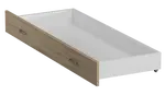 Úložný box pod postel IKAROS 159 cm, dub sonoma