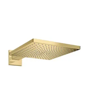 Hansgrohe Raindance E hlavová sprcha na stenu lesklá zlatá 26238990