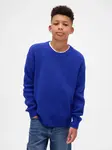 GAP Children's Sweater CashSoft - Boys