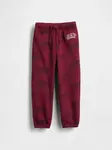 GAP Baby Sweatpants with Logo - Boys