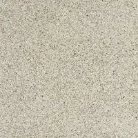 Dlažba Graniti Fiandre Il Veneziano argento 60x60 cm lesk AL246X1060