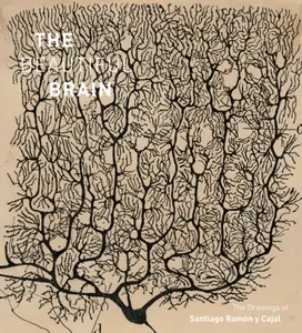 The Beautiful Brain - Alfonso Araque, Larry Swanson, Eric Newman
