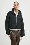Hollister Co.  Bunda