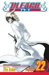 Bleach, Vol. 22 - Tite Kubo