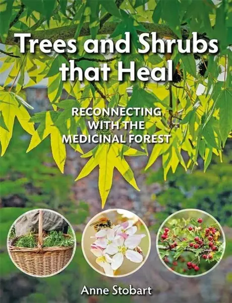 Trees and Shrubs that Heal - Anne Stobart