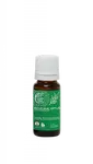 TIERRA VERDE Esenciální olej Eukalyptus BIO 10 ml