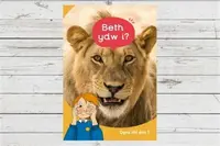 Dyna Chi Dric: Beth Ydw I? - Aneirin Karadog, Eirian Lloyd Jones