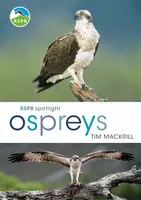 RSPB Spotlight Ospreys - Tim  Mackrill
