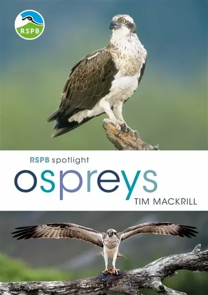 RSPB Spotlight Ospreys - Tim  Mackrill