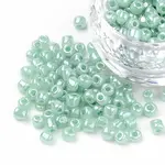 20G Glass Seed Beads