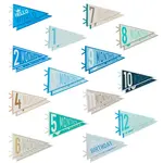 14Pcs Felt Baby Monthly Milestone Pennant Flags