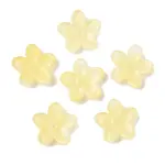 Transparent Spray Paint Glass Beads