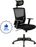 AUTRONIC Kancelářská židle KA-B1013 BK síťovaná