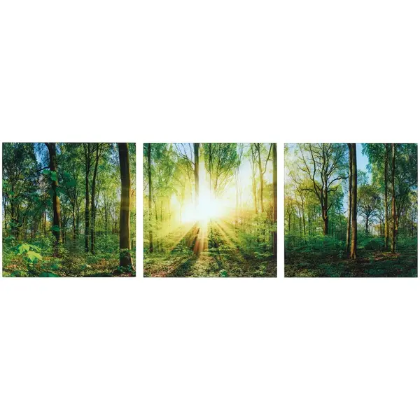 Euroart OBRAZ NA SKLE, krajina a příroda, 30/90/1,40 cm