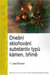 Dnešní skloňování substantiv typů kámen, břímě - Josef Šimandl