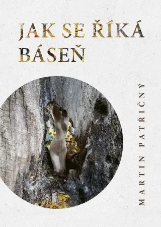 Jak se říká kniha - Martin Patřičný - e-kniha