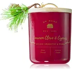 DW Home Farmhouse Cinnamon Clove & Cypress vonná svíčka 244 g